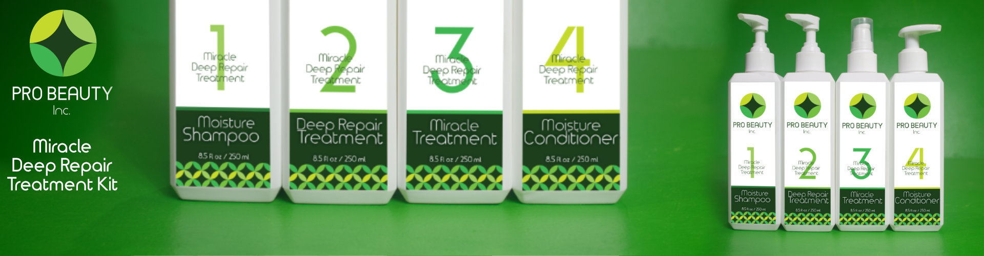 Pro_Beauty_Inc_Miracle_Deep_Repair_Treatment_Kit_Hero_Banner_1_1920_500_px